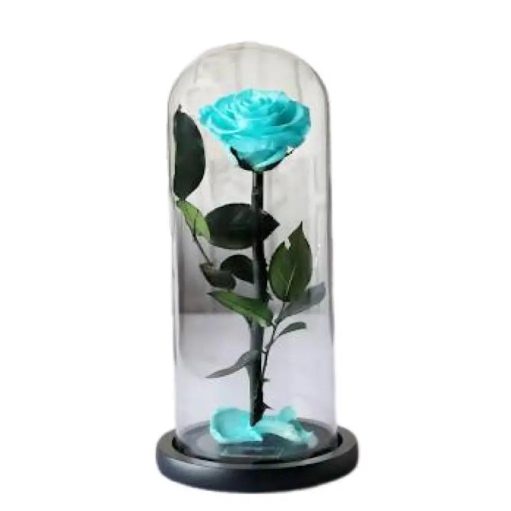Beauty And The Beast - Blue
